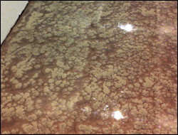 Pure Metallic - Sweet Brown Basecoat With Honeycomb Effect